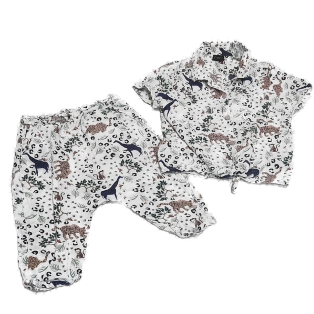 Art Class, animal print tshirt and pants set, Size 2T
